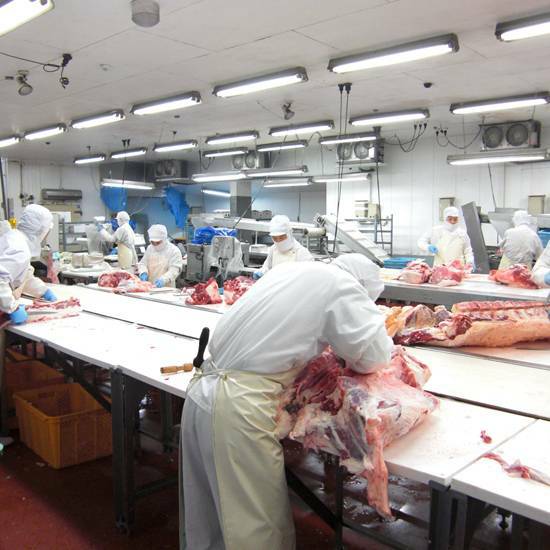 自社加工工場での作業の様子